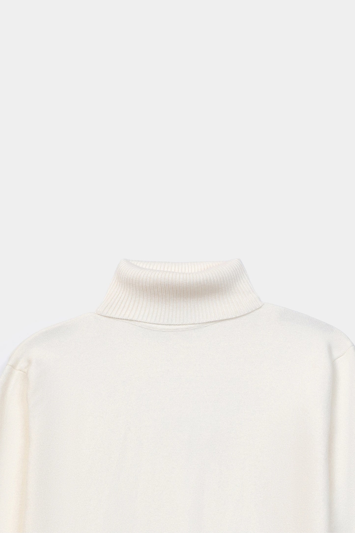 Turtleneck Sweater